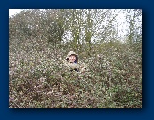 Roger in his brambles